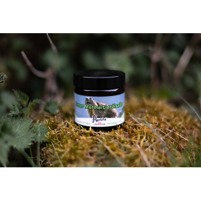 Urner-Murmelsalbe
