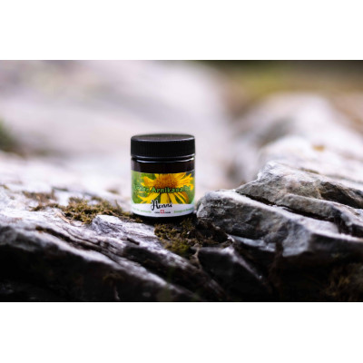 Arnika Salbe 27g